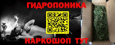 шишки Рыбинск