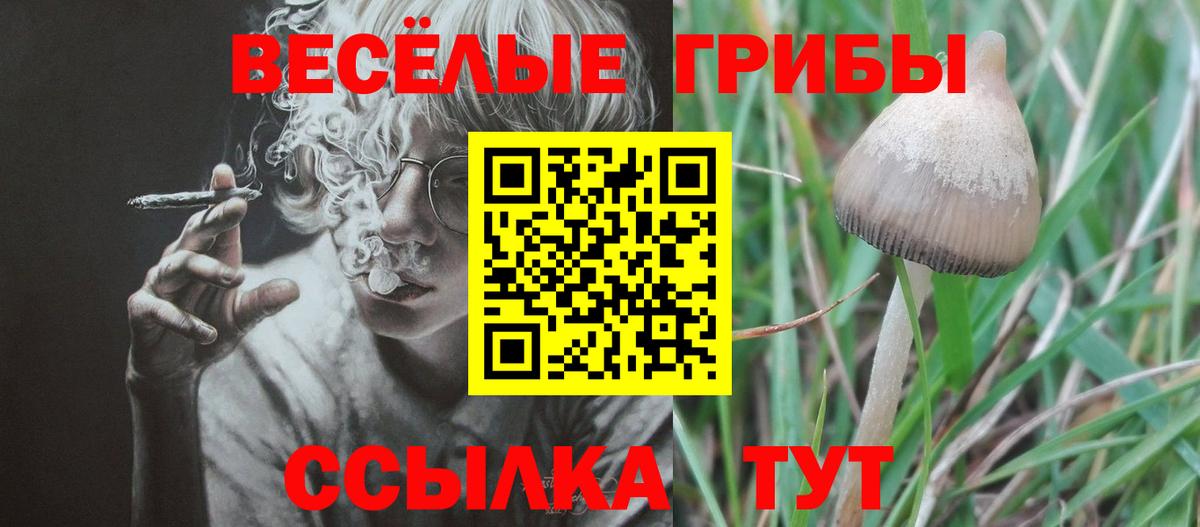 Псилоцибиновые грибы Cubensis  Вход с VPN  Соликамск 