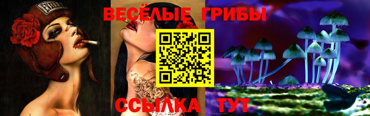 Псилоцибиновые грибы Psilocybe Соликамск